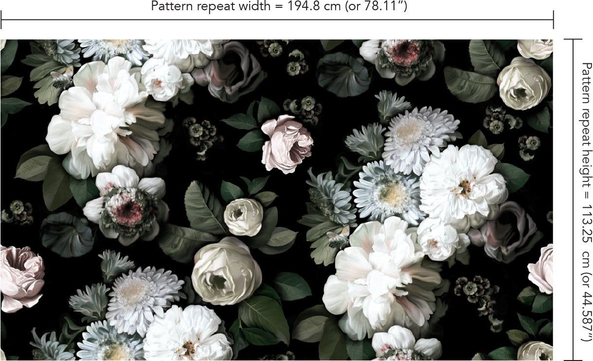 1500 Flower On Dark Background Pictures  Download Free Images on Unsplash